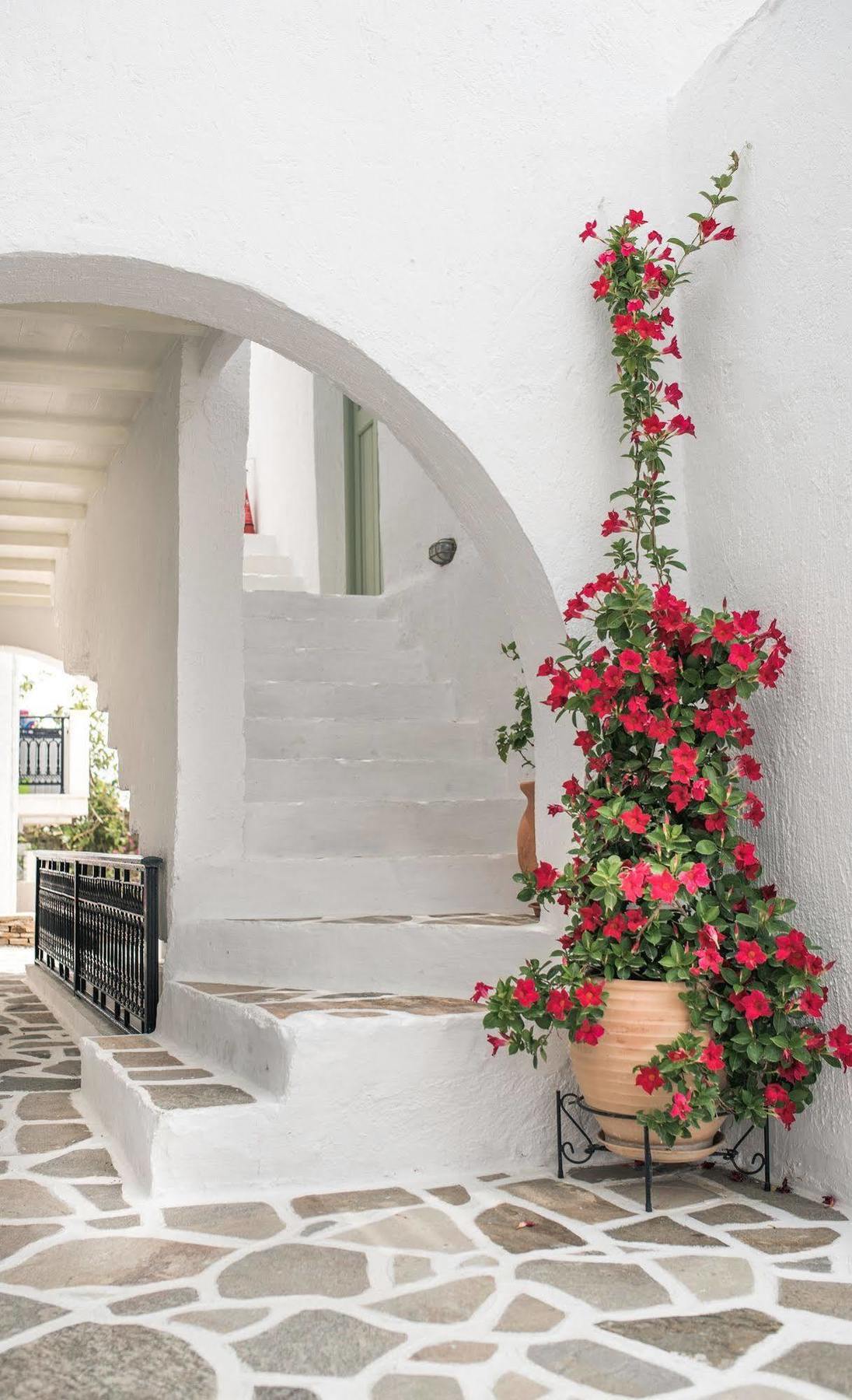 Nastasia Village Naxos City Eksteriør billede